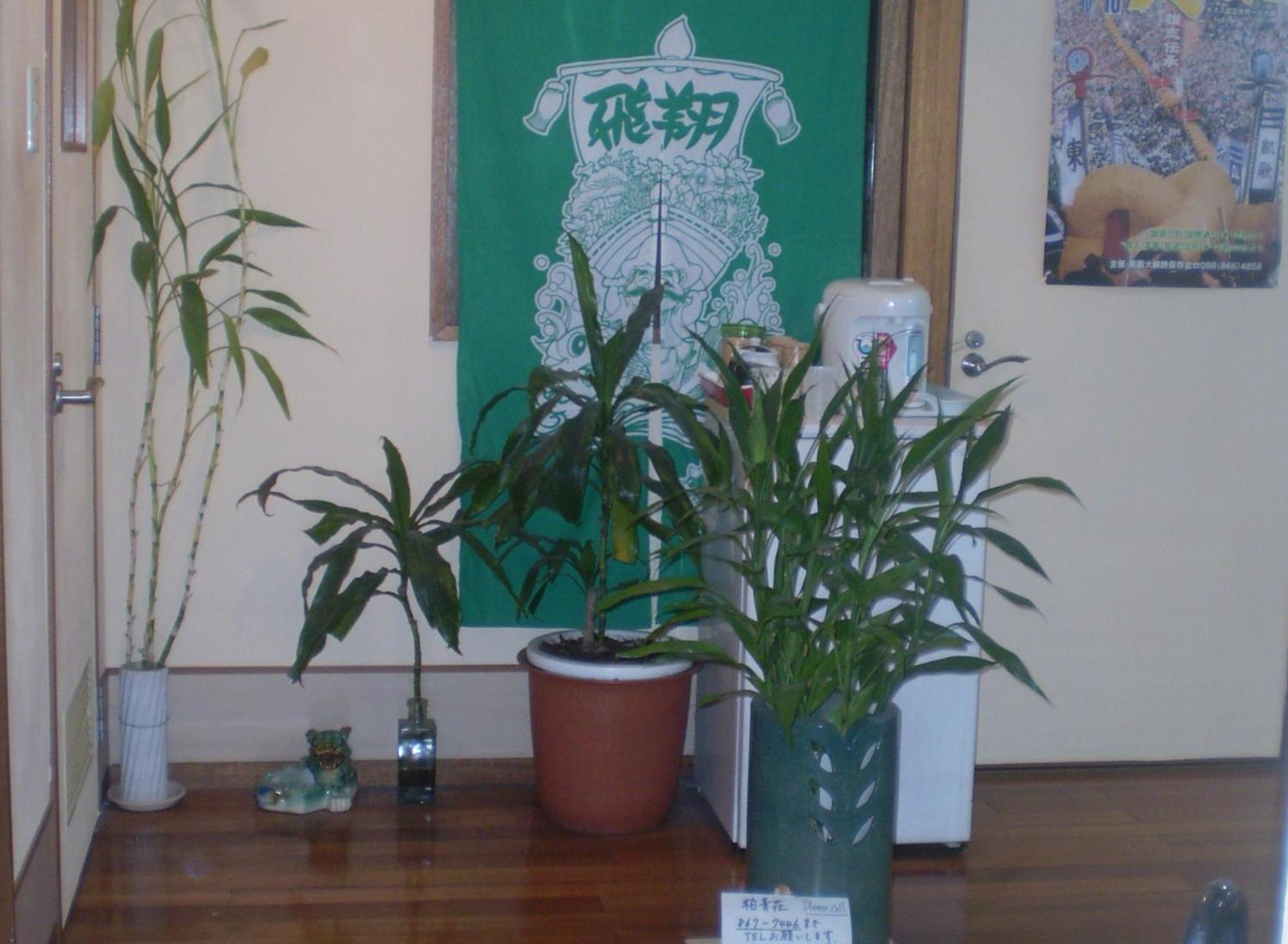 Hostel Hakuseiso Naha Kültér fotó