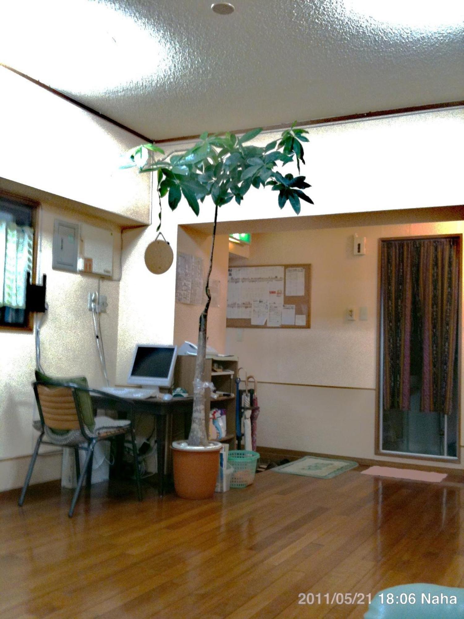 Hostel Hakuseiso Naha Kültér fotó